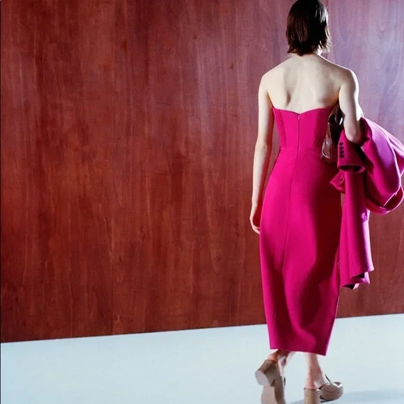 Zara Bustier Midi Dress - Picture 8 of 15